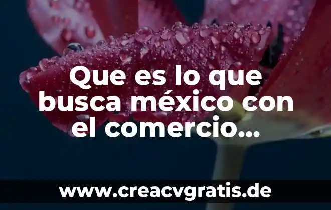 Qué es UAP en comercio exterior 3 Que es lo que busca méxico con el comercio internacional