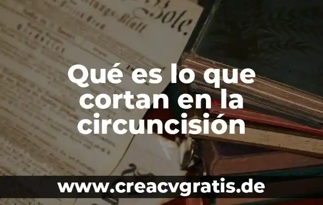 Qué es señal analógica y señal digital 3 Qué es lo que cortan en la circuncisión