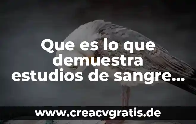 Que es tiempo de coagulacion dela sangre 3 Que es lo que demuestra estudios de sangre y orina