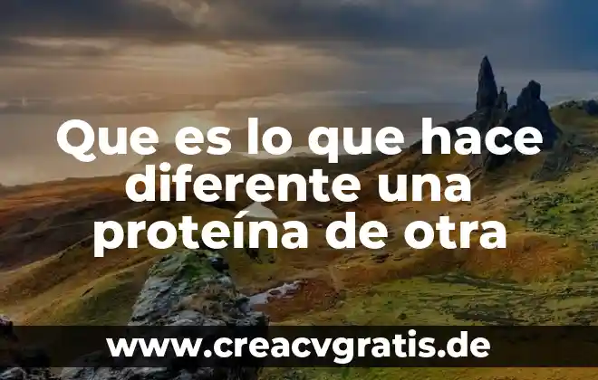 Que es lo que una esposa hace en el matrimonio 6 Que es lo que hace diferente una proteína de otra
