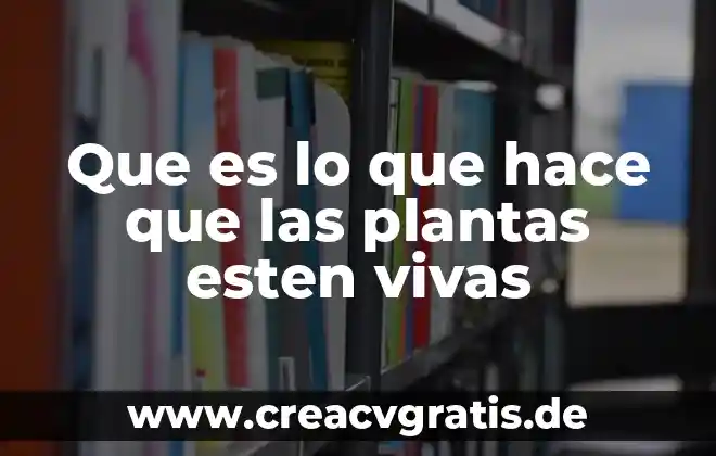 Por que es importante el sol en las plantas 5 Que es lo que hace que las plantas esten vivas