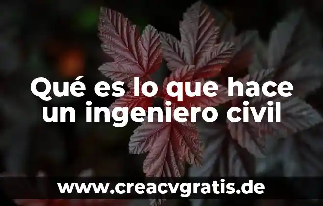 Qué es el concepto canon 6 Qué es lo que hace un ingeniero civil