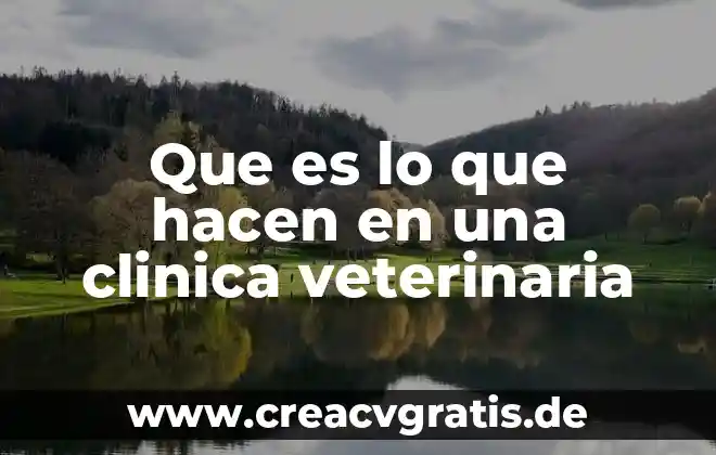 Química clínica que es 4 Que es lo que hacen en una clinica veterinaria