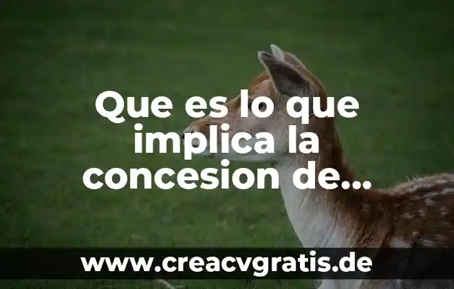 Por que es importante la limpieza en los espacios publicos 6 Que es lo que implica la concesion de servicios publicos
