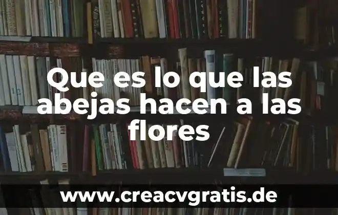 Que es una planta de flores 3 Que es lo que las abejas hacen a las flores