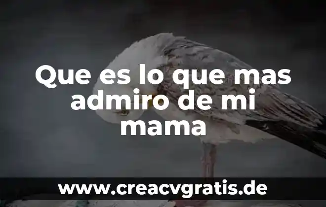 Mensaje para mi mama que es musico 3 Que es lo que mas admiro de mi mama