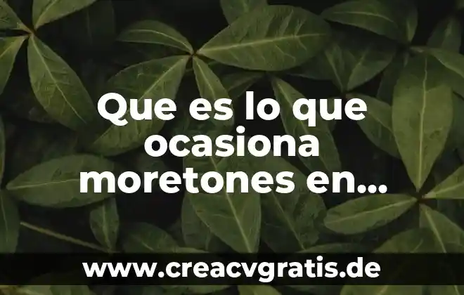 Y le dio un nombre que es sobre todo nombre 4 Que es lo que ocasiona moretones en todo el cuerpo