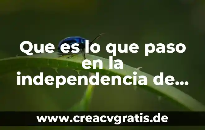 Resumen de que es el aniversario de la independencia 3 Que es lo que paso en la independencia de mexico