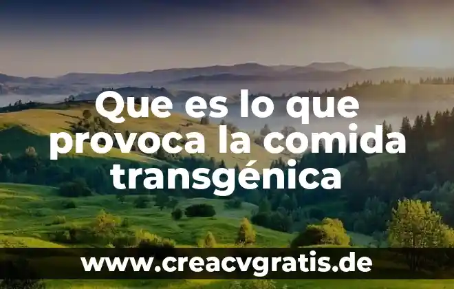Que es un receta de comida 4 Que es lo que provoca la comida transgénica