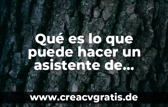 Qué es la diarrea y qué alimentos se puede consumir 3 Qué es lo que puede hacer un asistente de finanzas