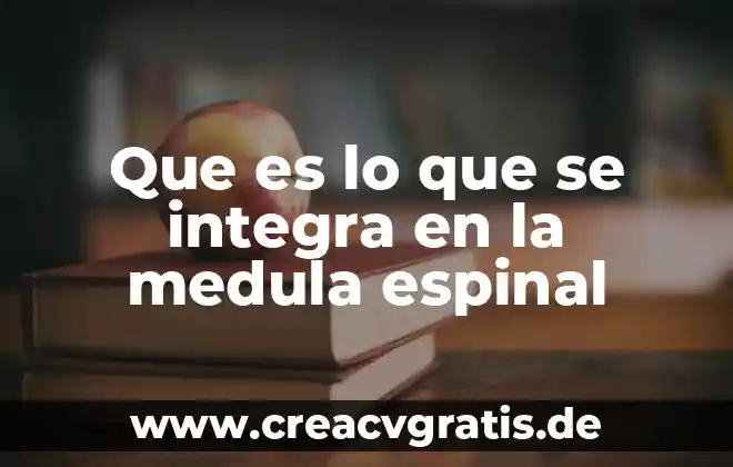 Que es alg como pastilla que ñe.echas.agua.y se.onfle 7 Que es lo que se integra en la medula espinal