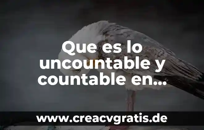 Qué es la señal de menos en inglés 3 Que es lo uncountable y countable en ingles