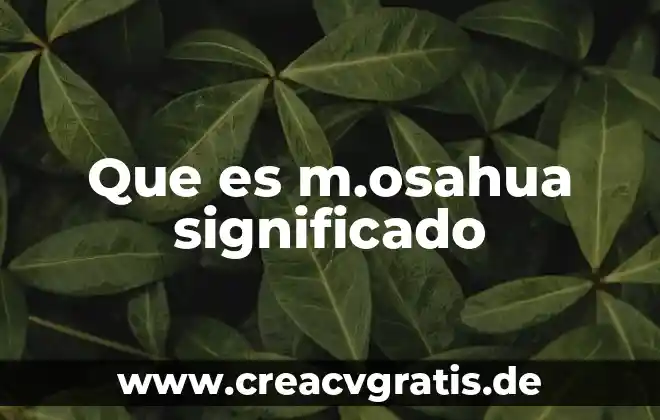 Que es una matriz de pruebas 3 Que es m.osahua significado