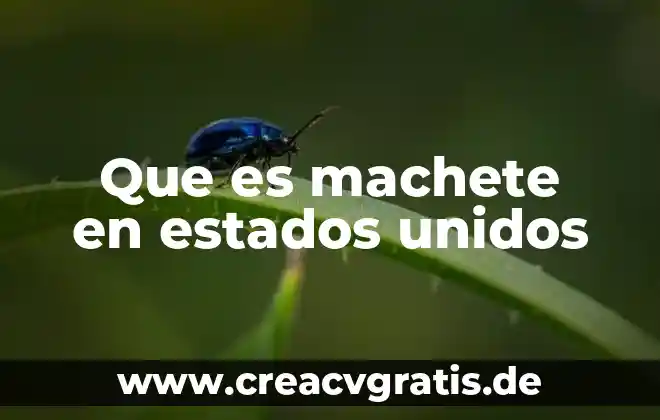Nombre del rio que es frontera con estados unidos 3 Que es machete en estados unidos