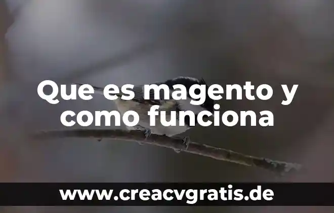 Que es una fotocelda y como funciona 6 Que es magento y como funciona