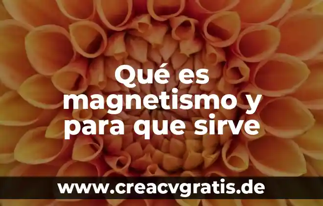 Que es y para que sirve el dinero electrónico 8 Qué es magnetismo y para que sirve
