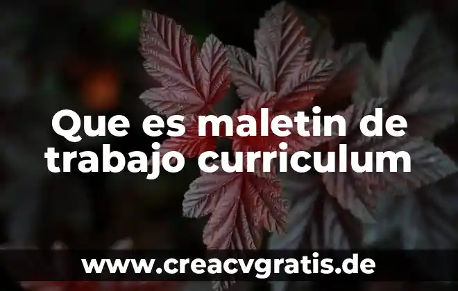 Que es el curriculum en lo educativo 7 Que es maletin de trabajo curriculum