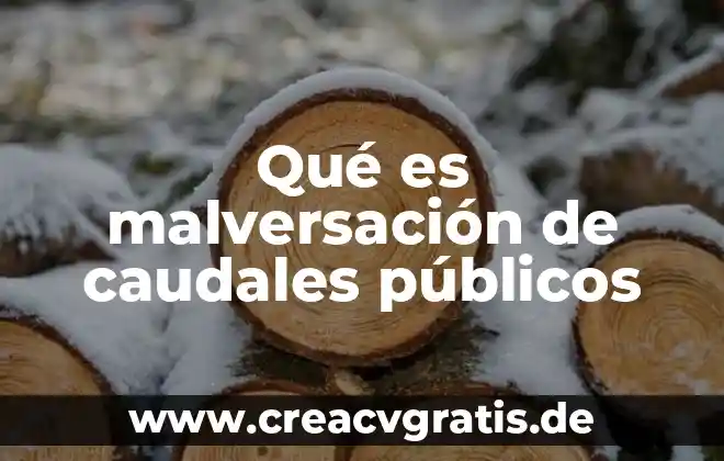 Por que es importante la limpieza en los espacios publicos 3 Qué es malversación de caudales públicos