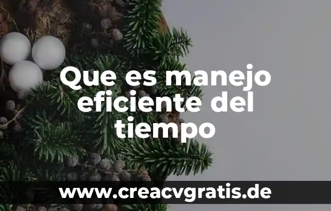 A dormir angelitos que es el tiempo de soñar letra 3 Que es manejo eficiente del tiempo
