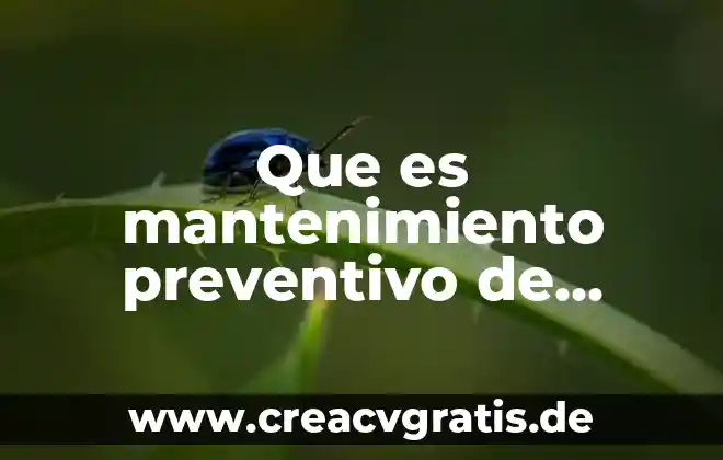 Qué es hardware y software concepto y elementos 6 Que es mantenimiento preventivo de software y hardware