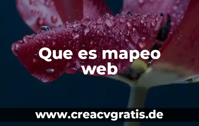 Que es un buscador web y sus tipos 4 Que es mapeo web