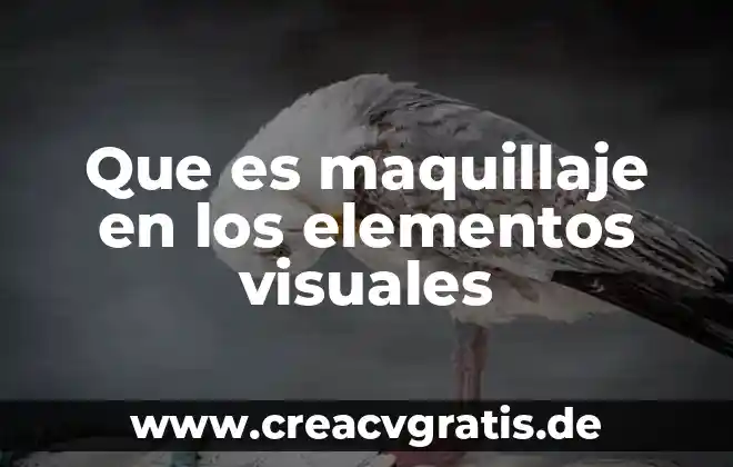 Qué es mejor distroller o maquillaje 4 Que es maquillaje en los elementos visuales