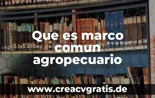 Que es el marco teorico breve 7 Que es marco comun agropecuario