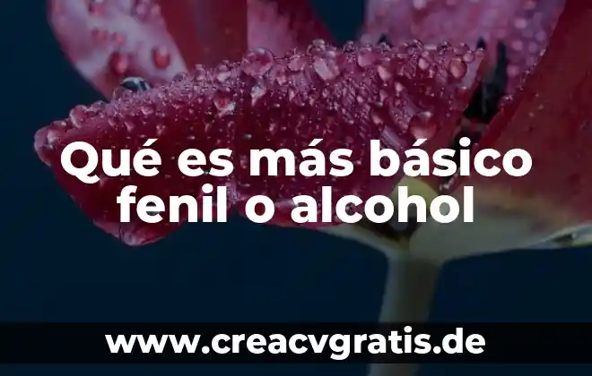 Alcohol rectificado que es 6 Qué es más básico fenil o alcohol