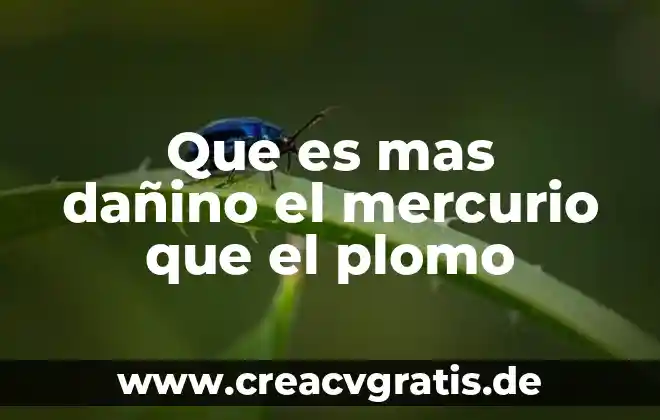 Lo dañino que es comer sangre animal según la ciencia 5 Que es mas dañino el mercurio que el plomo