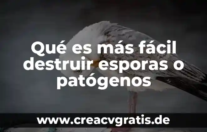 Que es mas facil de un crm 5 Qué es más fácil destruir esporas o patógenos
