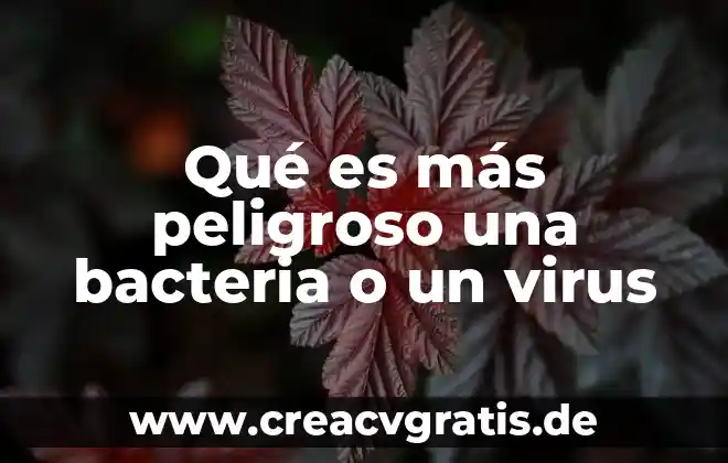 Qué es más peligroso volar o carretera 6 Qué es más peligroso una bacteria o un virus