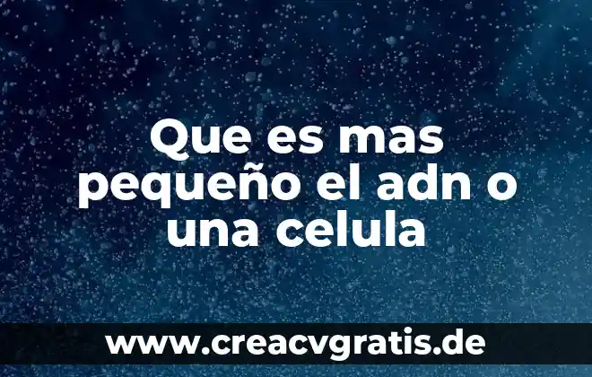 Que es la moral resumen pequeño 4 Que es mas pequeño el adn o una celula
