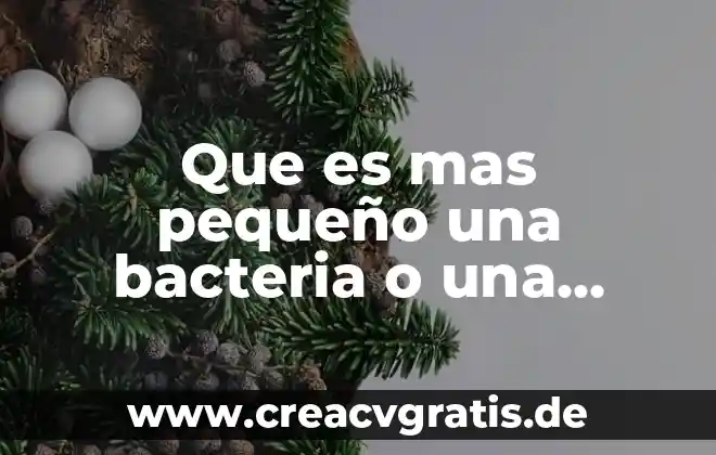 Que es la moral resumen pequeño 7 Que es mas pequeño una bacteria o una celula humana