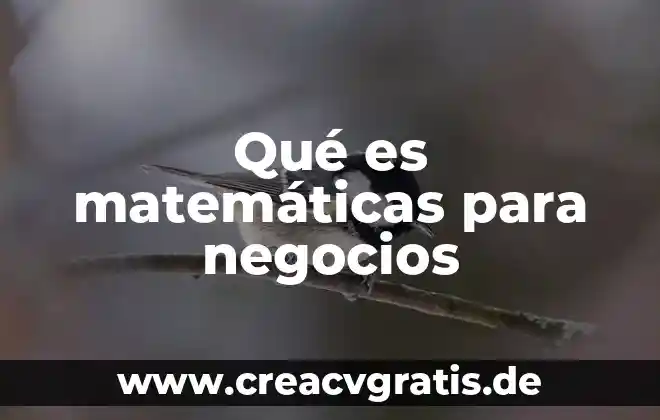 Que es concepto de negocios y antecedentes 6 Qué es matemáticas para negocios