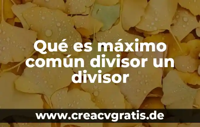 Que es el flujo maximo de la ruta mas corta 3 Qué es máximo común divisor un divisor
