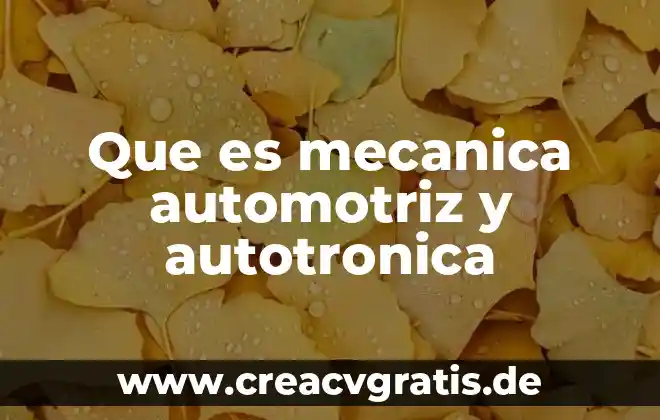 Que es la fuerza conservativa en mecanica 4 Que es mecanica automotriz y autotronica