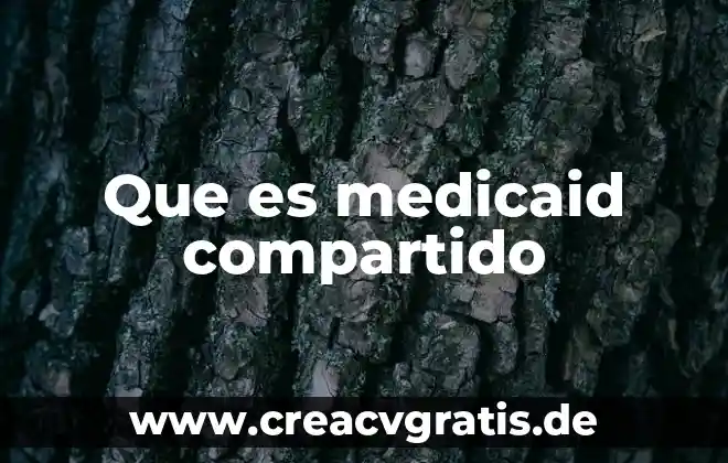 Que es el yunque modelo compartido 4 Que es medicaid compartido