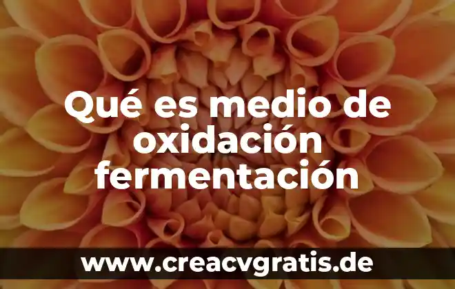 Qué es un medio de acuerdo al programa sep 2011 6 Qué es medio de oxidación fermentación