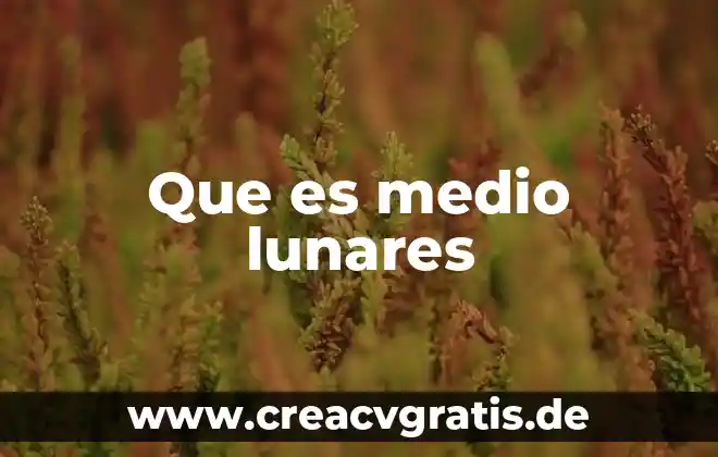 Que es pesimista significado 5 Que es medio lunares