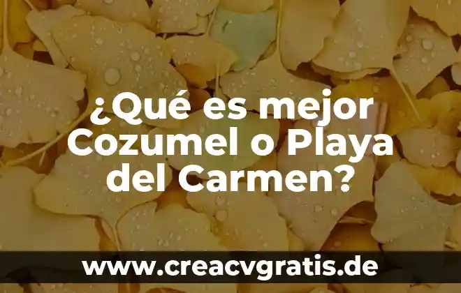 Que es turismo playa y litoral o de sol 7 ¿Qué es mejor Cozumel o Playa del Carmen?