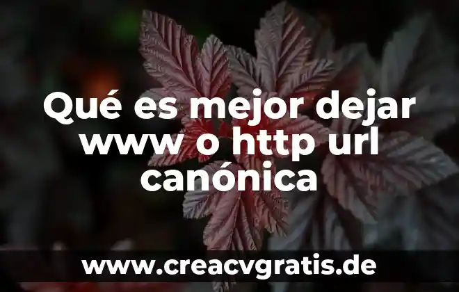 Http definicion de documento que es significado y concepto 3 Qué es mejor dejar www o http url canónica