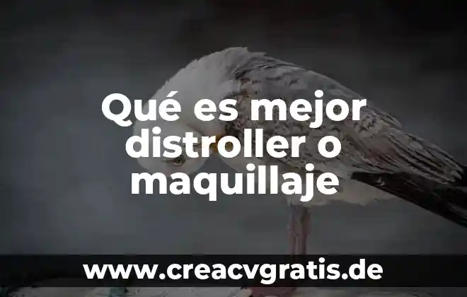 Que es maquillaje social 3 Qué es mejor distroller o maquillaje