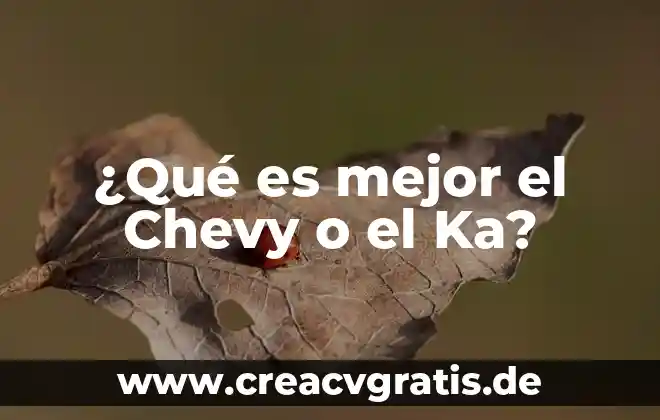 Qué es mejor para viajar un vocho o un chevy 5 ¿Qué es mejor el Chevy o el Ka?