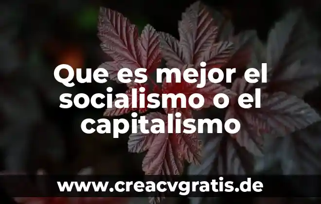 Qué es un contaminante químico del agua 6 Que es mejor el socialismo o el capitalismo