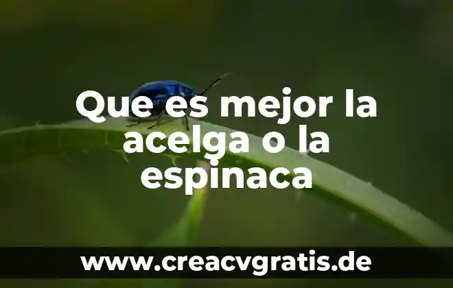 Que es significa w en fisica 3 Que es mejor la acelga o la espinaca
