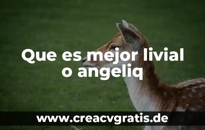 Qué significa o qué es un WAN en informática 5 Que es mejor livial o angeliq