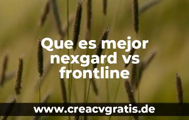 ¿Qué es mejor procesador i5 o x64? 4 Que es mejor nexgard vs frontline