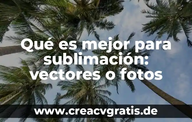 Que es el producto cruz de vectores 3 Qué es mejor para sublimación: vectores o fotos