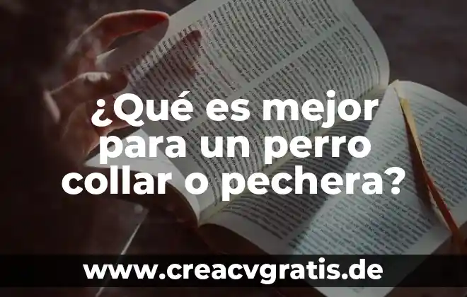 Que es si un perro vomita y hace sangre 6 ¿Qué es mejor para un perro collar o pechera?