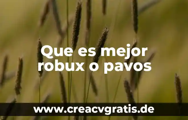 Que es pesimista significado 4 Que es mejor robux o pavos